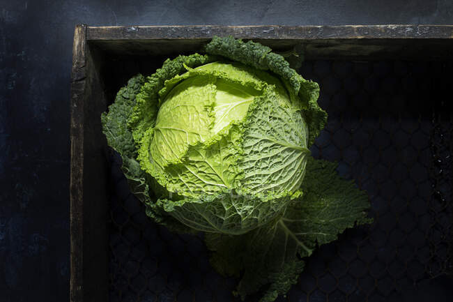 From above green head of savoy cabbage in wooden box — Stock Photo