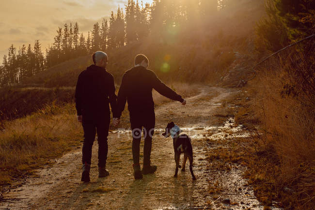 Back view of homosexual couple holding hands and walking with dog on way on hill in sunny day — Stock Photo
