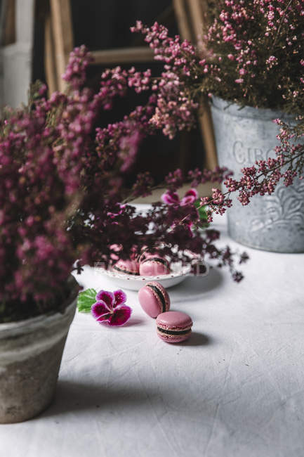 Macaroons doces na chapa na mesa com flores — Fotografia de Stock
