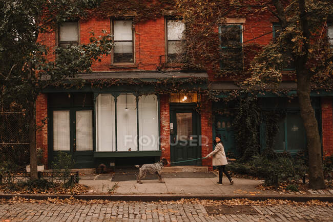Side view of woman with dog on leash standing on sidewalk of beautiful street with autumnal trees, New York — Stock Photo