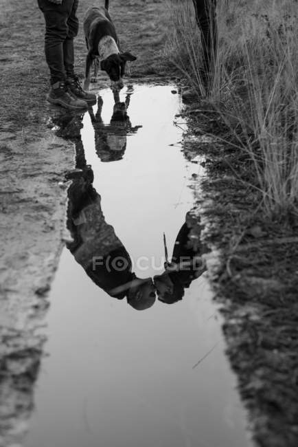 Black and white water slop with reflection of couple kissing on road near dog — Stock Photo