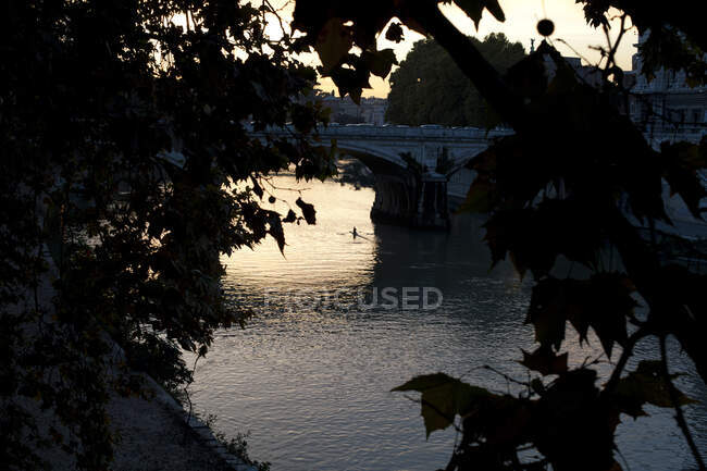 Leaves of coastal trees in front of calm water and amazing Ponte Garibaldi during sunset in Rome — Stock Photo