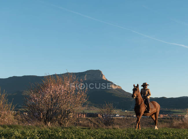 Female in hat looking away and sitting on beautiful horse against cloudless blue sky in meadow — Stock Photo