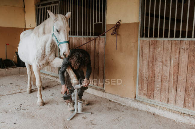 Unrecognizable blacksmith using manual tool to measure hoof of white horse near stable — Stock Photo