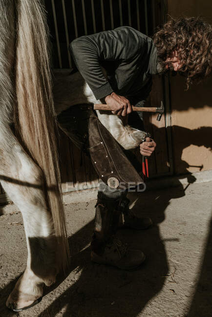 Vista lateral del herrero adulto usando martillo para poner herradura en pezuña de caballo cerca de establo en rancho - foto de stock