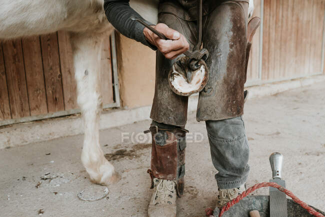 Вид збоку дорослого коваля, який використовує молоток, щоб покласти підкови на копитах коня біля стайні на ранчо — стокове фото