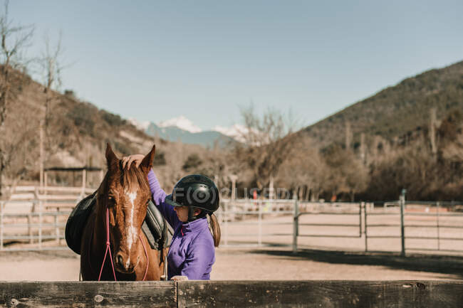 Vista lateral da jovem fêmea coçando cabeça de cavalo incrível enquanto está em recinto durante a aula de equitação no rancho — Fotografia de Stock
