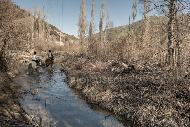 Задний вид людей верхом на лошадях в спокойном ручье в солнечный день в удивительной осенней сельской местности во время урока — стоковое фото