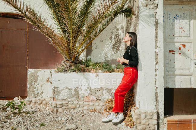 Side view of lovely young woman with closed eyes leaning on shabby wall of old house near exotic palm on sunny day — Stock Photo