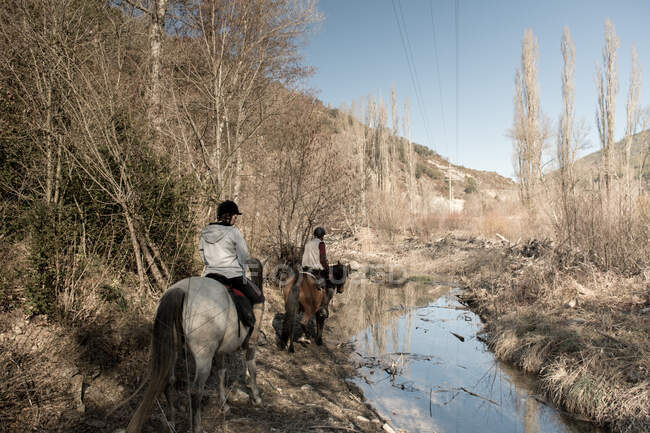 Visão traseira de pessoas montando cavalos em riacho calmo no dia ensolarado no incrível campo de outono durante a aula — Fotografia de Stock