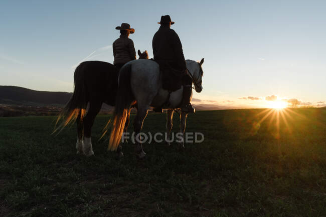 Hombre y mujer montando caballos contra el cielo del atardecer en rancho - foto de stock