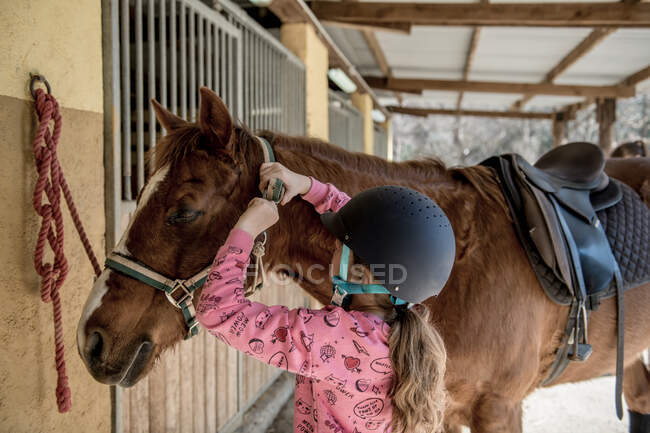 Carino bambina in casco mettere spazzolatura un bianco cavallo mentre in piedi vicino bancarelle in stalla durante equitazione lezione di equitazione su ranch — Foto stock