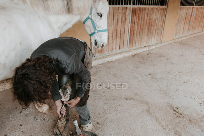 Vue latérale du forgeron adulte à l'aide d'un marteau pour mettre le fer à cheval sur le sabot du cheval près de l'écurie sur le ranch — Photo de stock