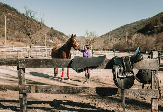 Молода жінка погладжує красивого коня під час уроку верхової їзди в сонячний день на ранчо — стокове фото