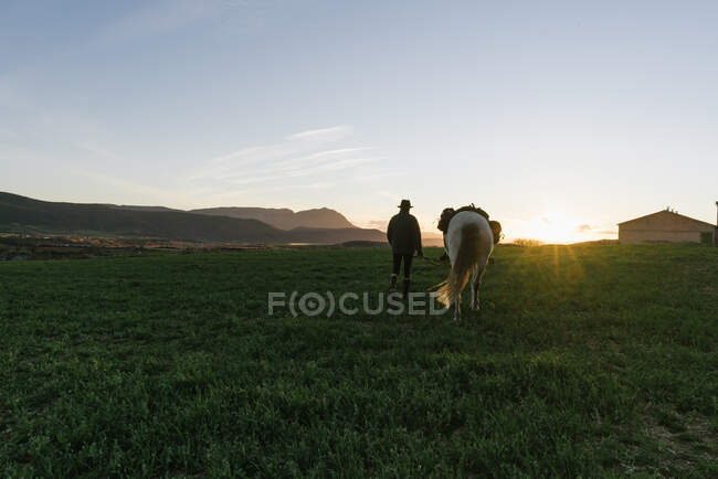 Vieil homme au chapeau regardant loin et assis sur un beau cheval contre un ciel bleu sans nuages dans la prairie — Photo de stock