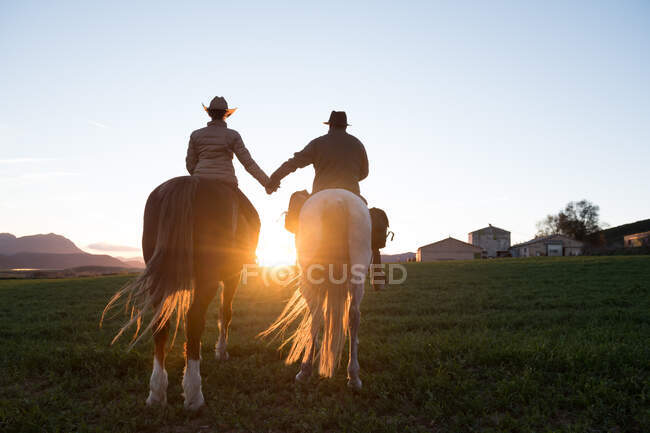 Vue arrière de l'homme et de la femme chevauchant des chevaux et se tenant la main contre le ciel couchant sur ranch — Photo de stock