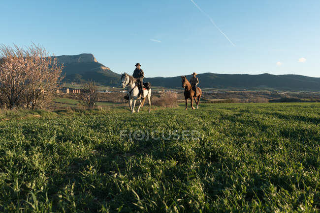 Мужчина и женщина верхом на лошадях на ранчо — стоковое фото