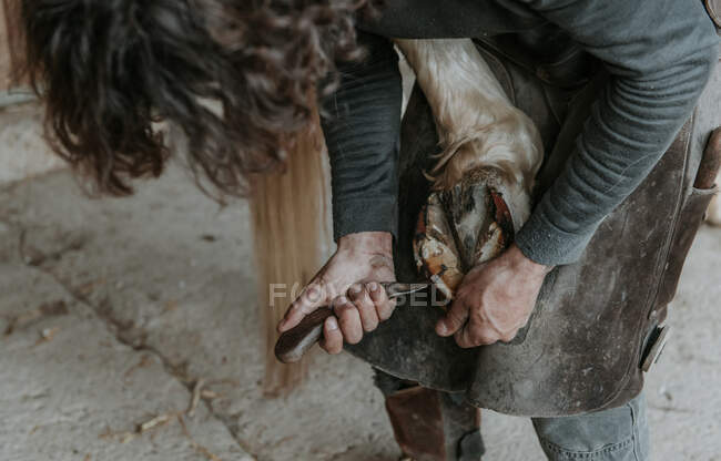 Uomo adulto irriconoscibile che usa il coltello per rimuovere la sporcizia dallo zoccolo del cavallo nel ranch — Foto stock