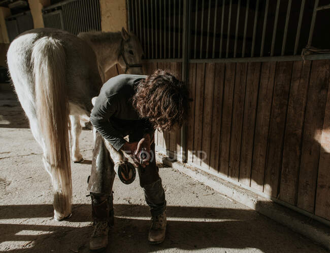 Вид збоку дорослого коваля, який використовує молоток, щоб покласти підкови на копитах коня біля стайні на ранчо — стокове фото