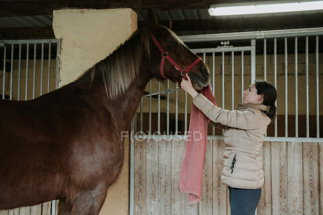 Vista laterale della giovane femmina in casco che mette la sella su un meraviglioso cavallo vicino alla stalla nel ranch — Foto stock