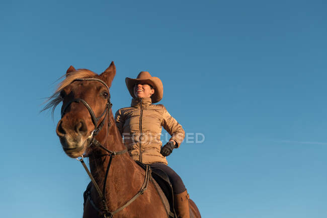 Жінка в капелюсі дивиться в сторону і сидить на красивому коні проти безхмарного блакитного неба на лузі — стокове фото