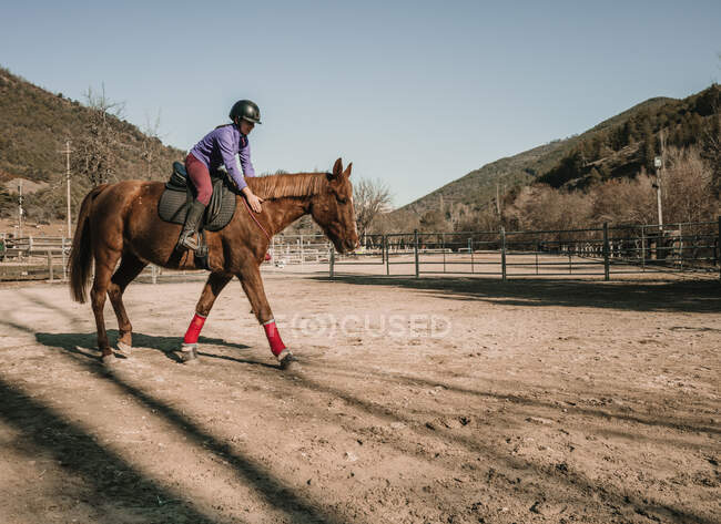 Joven hembra en casco montando maravilloso caballo en recinto contra el cielo azul sin nubes durante la lección en el rancho - foto de stock