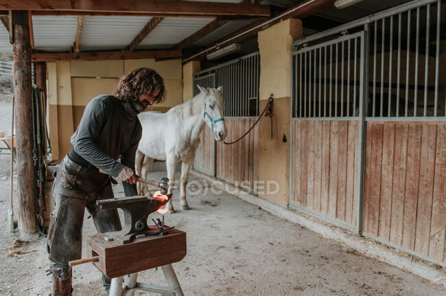 Farrier adulto usando martillo y pinzas para forjar herradura caliente en yunque portátil cerca de establo en rancho - foto de stock