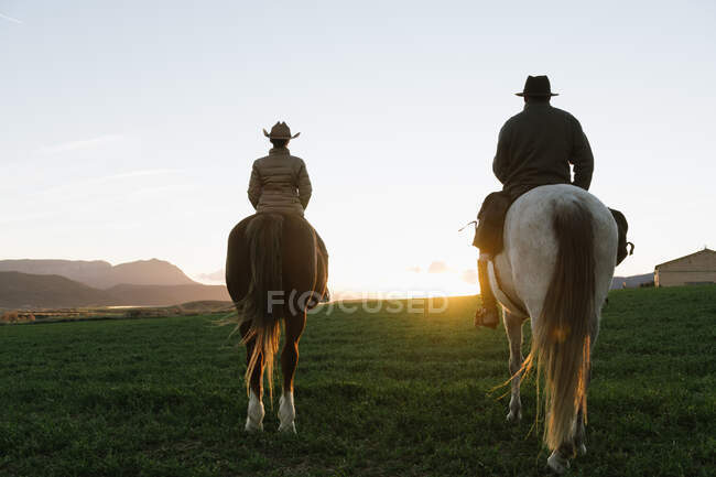 Visão traseira do homem e da mulher montando cavalos contra o céu do pôr do sol na fazenda — Fotografia de Stock