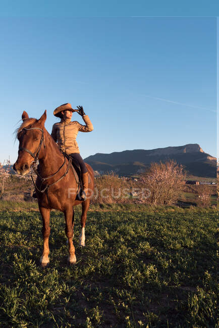 Femmina in cappello distogliendo lo sguardo e seduto su un bel cavallo contro il cielo blu senza nuvole nel prato — Foto stock