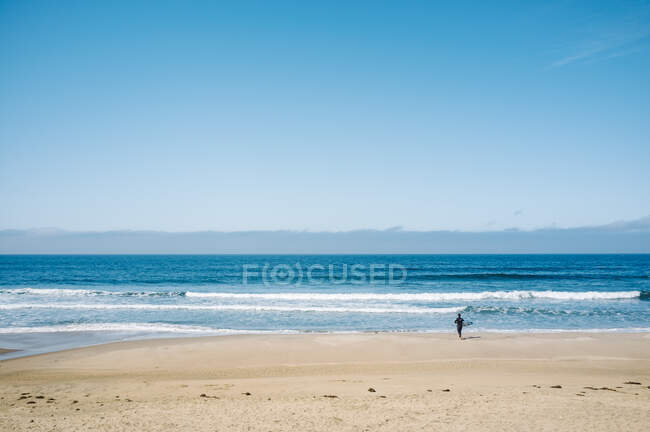 Sportivo che corre sulla spiaggia vicino al mare — Foto stock