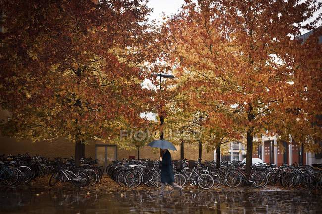 Неузнаваемый человек с пуповиной ходит по улице возле осенних деревьев и велопарковок в Лондоне, Великобритания — стоковое фото