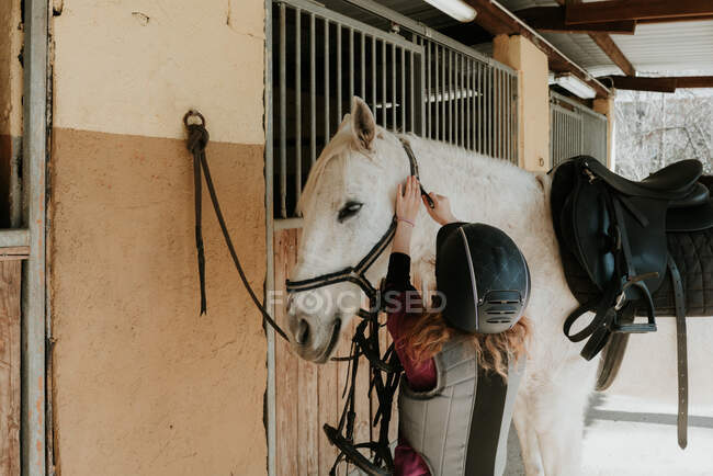 Vue de dos de la petite fille en casque portant bride sur cheval blanc tout en se tenant près de l'écurie pendant la leçon d'équitation le jour ensoleillé sur ranch — Photo de stock