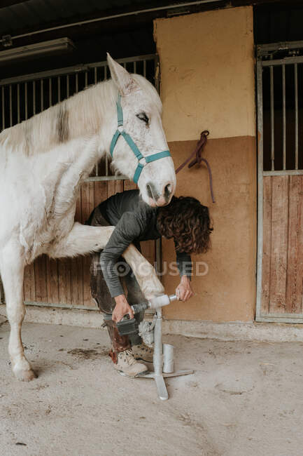 Ferreiro irreconhecível usando ferramenta manual para medir casco de cavalo branco perto estável — Fotografia de Stock