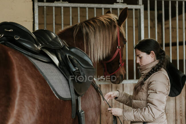 Side view of young female in helmet putting saddle on wonderful horse near stable on ranch — Stock Photo