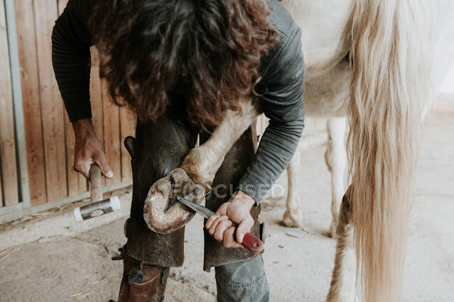 Vue latérale du forgeron adulte à l'aide d'un marteau pour mettre le fer à cheval sur le sabot du cheval près de l'écurie sur le ranch — Photo de stock