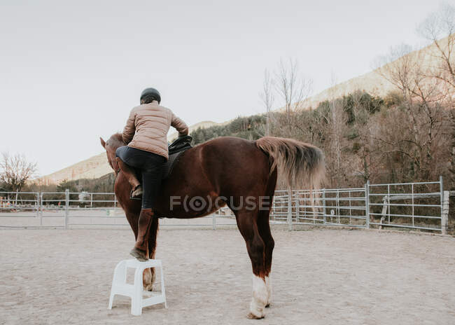 Vista posteriore di femmina in casco montaggio su cavallo obbediente in recinto su ranch — Foto stock