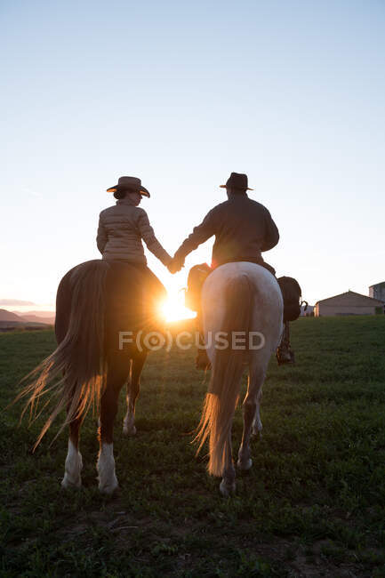 Задний вид мужчины и женщины верхом на лошадях и держась за руки против закатного неба на ранчо — стоковое фото