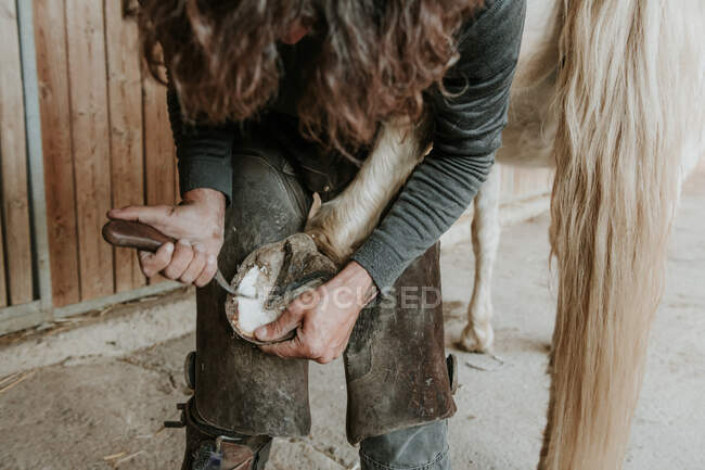 Vista laterale del fabbro adulto che usa il martello per mettere il ferro di cavallo sullo zoccolo del cavallo vicino alla stalla nel ranch — Foto stock