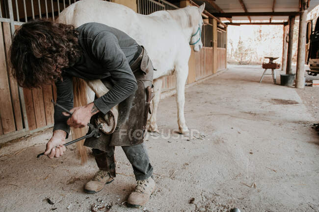 Side view of adult blacksmith using hammer to put horseshoe on hoof of horse near stable on ranch — Stock Photo