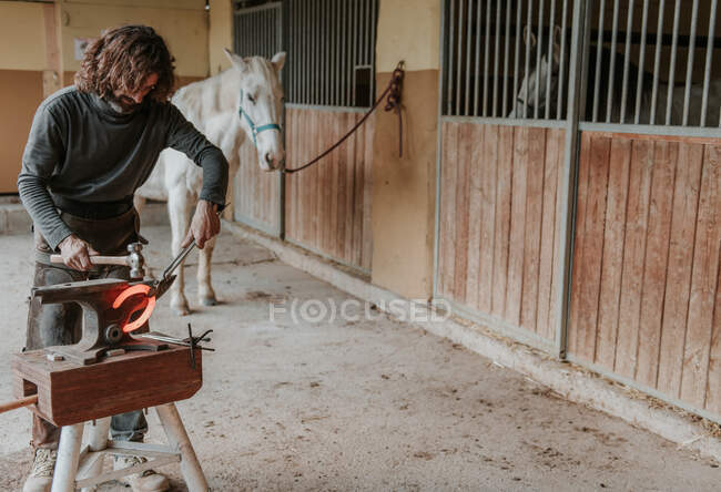 Contadino adulto con martello e pinze per forgiare ferro di cavallo caldo su incudine portatile vicino alla stalla nel ranch — Foto stock