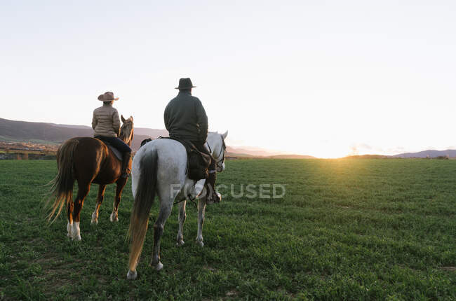 Задний вид на мужчину и женщину верхом на лошадях против закатного неба на ранчо — стоковое фото