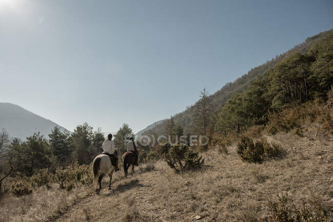 Back view of people riding horses in calm creek on sunny day in amazing autumn countryside during lesson — Stock Photo
