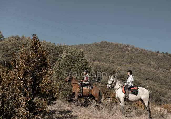 Pessoas montando cavalos em riacho calmo no dia ensolarado no incrível campo de outono durante a aula — Fotografia de Stock