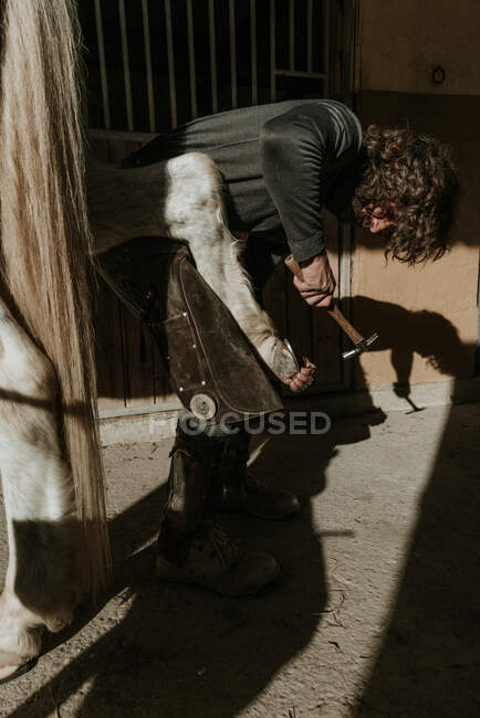 Vista lateral do ferreiro adulto usando o martelo para colocar ferradura no casco do cavalo perto do estábulo na fazenda — Fotografia de Stock