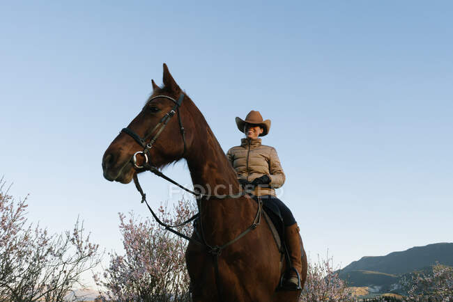 Female in hat looking away and sitting on beautiful horse against cloudless blue sky in meadow — Stock Photo