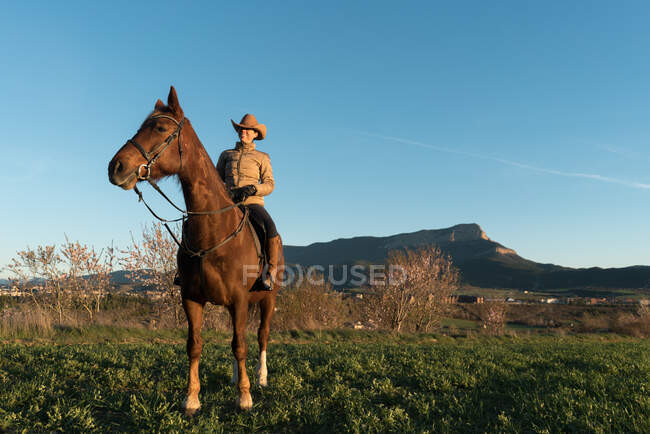 Femme en chapeau regardant loin et assise sur un beau cheval contre un ciel bleu sans nuages dans la prairie — Photo de stock