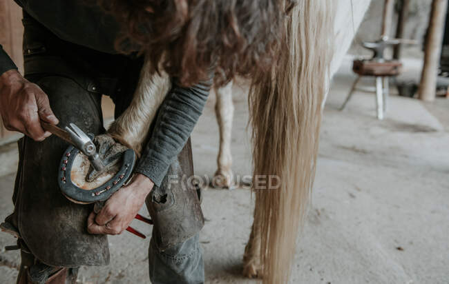 Unrecognizable adult man using knife to remove dirt from hoof of horse on ranch — Stock Photo