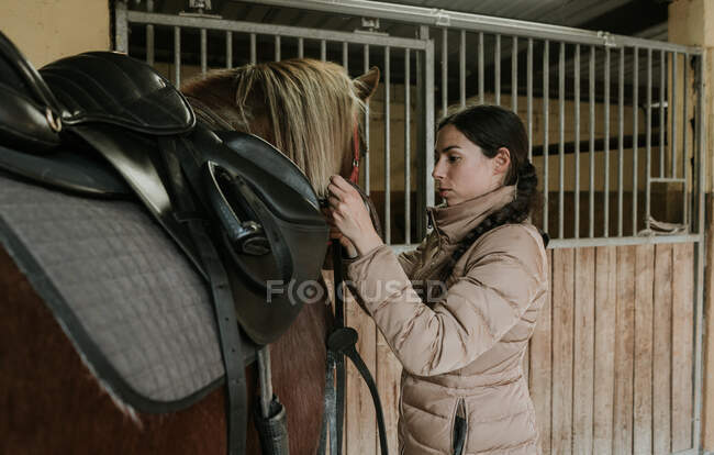 Вид сбоку, как молодая самка в шлеме грустит на прекрасной лошади возле конюшни на ранчо — стоковое фото