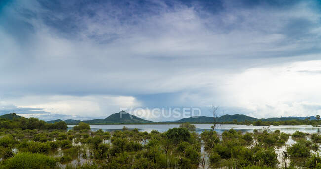 Чудовий краєвид буйної тропічної рослинності на узбережжі проти блакитного неба у хмарах (Камбоджа). — стокове фото