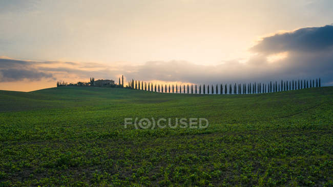Picturesque landscape of green field with cottage and cypresses in bright sunset light, Italy — Stock Photo